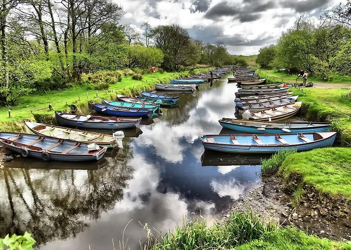 Dom wakacyjny Reeks Killarney